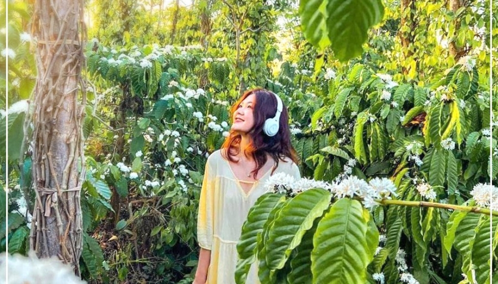 du lịch tây nguyên 