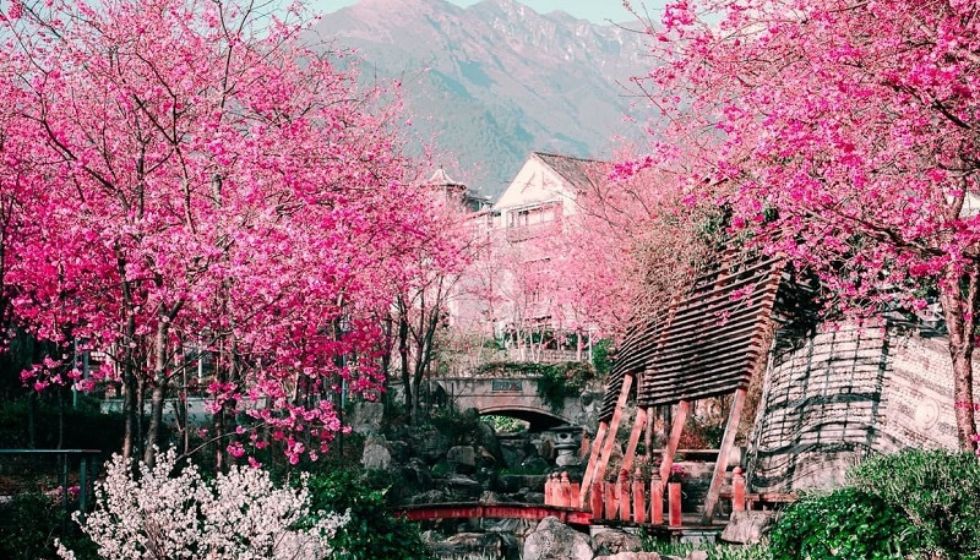 kinh nghiệm du lịch tân cương 