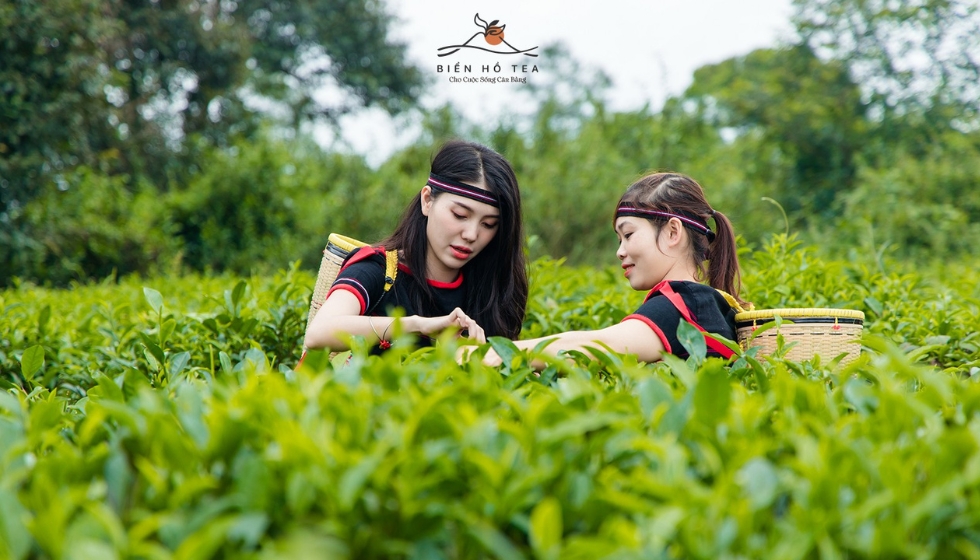 du lịch tây nguyên 