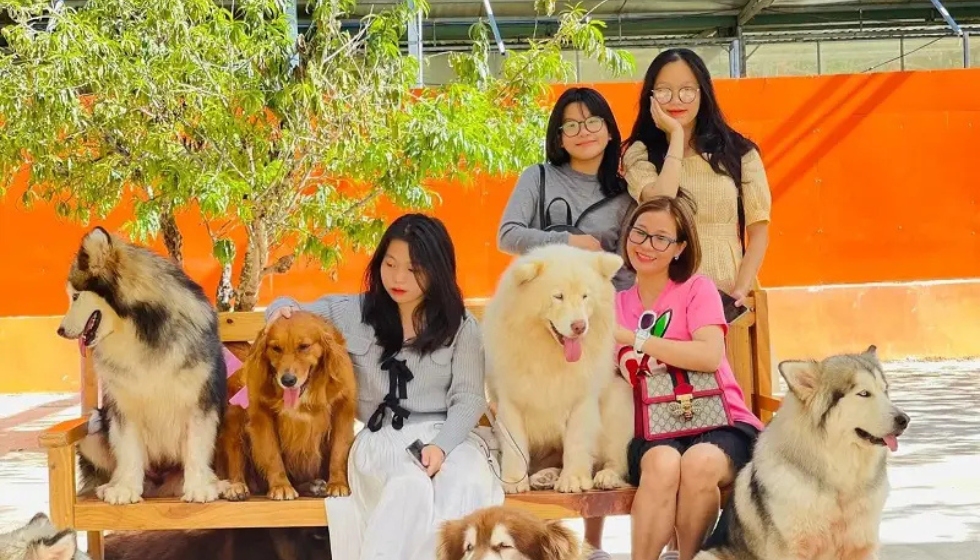 du lịch đà lạt nha trang