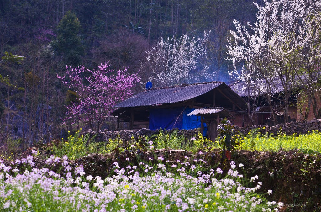 Du lịch Hà Giang
