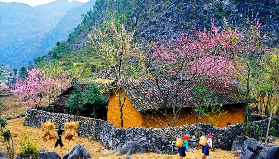 du lịch hà giang 
