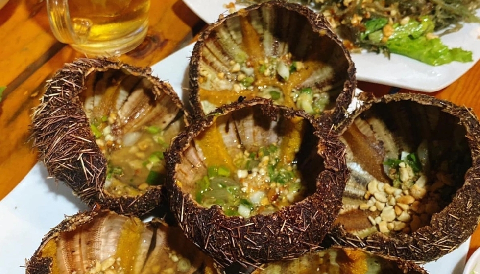 đảo lý sơn 