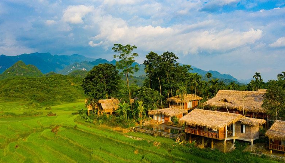 pù luông 