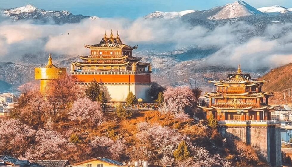 Shangrila 
