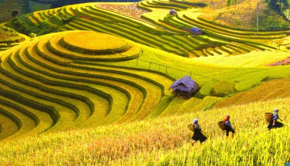 pù luôn 