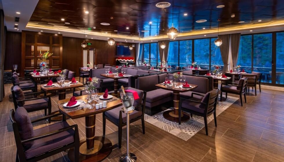 stella of the seas cruise