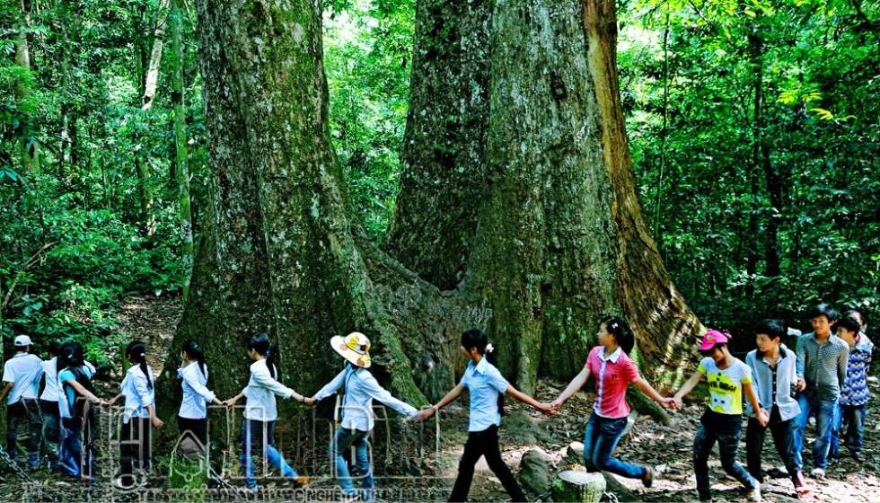 du lịch ninh bình