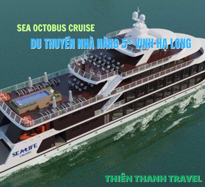 Du thuyền Sea Octopus 5 sao| Khám phám màn đêm huyền ảo Vịnh Hạ Long