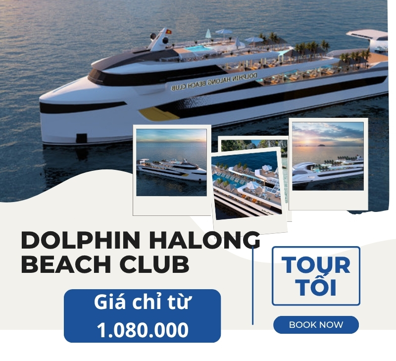 Tiệc tối trên Du thuyền Dolphin Halong Beach Club 6 sao Hạ Long, trải nghiệm đẳng cấp khác biệt nhất
