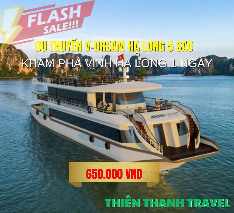 Du thuyền V-Dream Cruise 5 sao - Khám phá màn đêm huyền ảo trên Vịnh Hạ Long