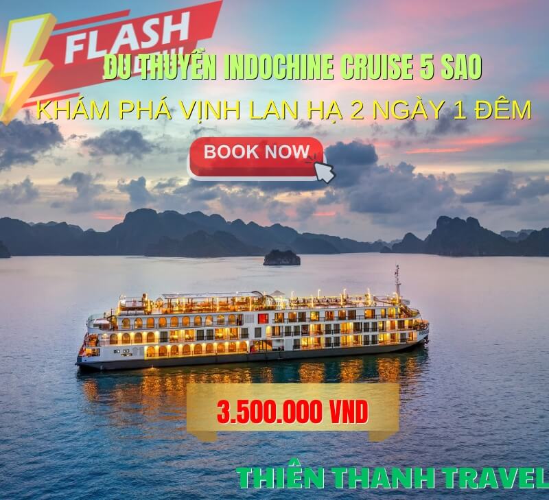 Du thuyền Indochine cruise: Nâng tầm đẳng cấp trên Vịnh Lan Hạ