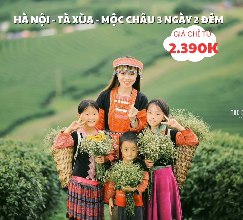 TOUR MỘC CHÂU - TÀ XÙA THIÊN ĐƯỜNG MÂY 3 NGÀY 2 ĐÊM TỪ HÀ NỘI