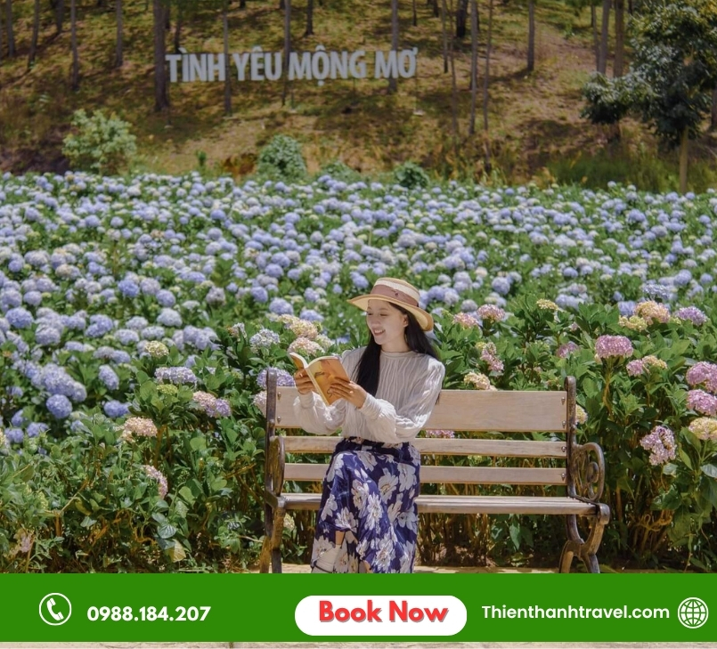 Khám Phá Lâm Đồng: Top 10+ Tọa Độ Cực Đỉnh Không Nên Bỏ Qua