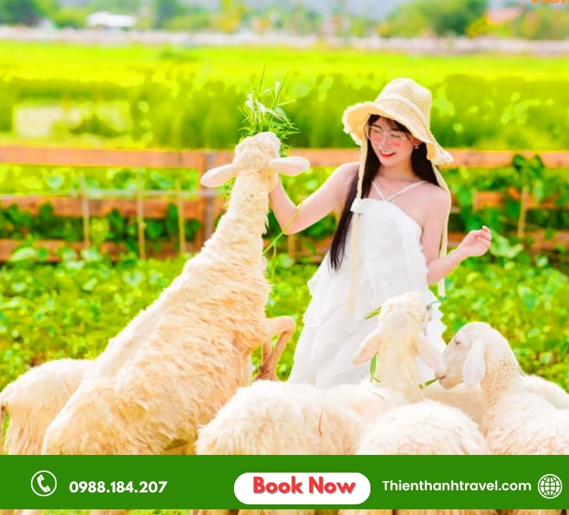 Sổ tay khám phá top 10+ địa điểm du lịch Ninh Thuận đẹp xuất sắc