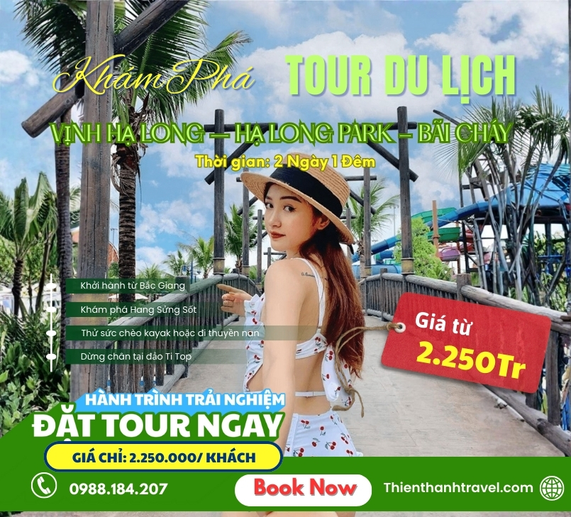 Tour Du lịch Hạ Long 2 ngày 1 đêm Khởi Hành từ Bắc Giang/ Bắc Ninh giá tốt