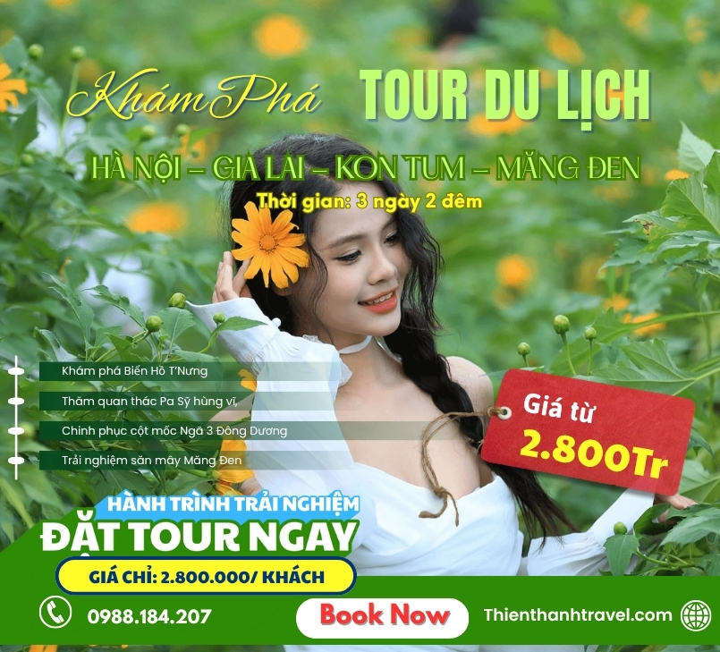 Tour Hà Nội - Gia Lại - Măng Đen [3N2Đ] Checkin Mùa vàng hoa giã quỳ