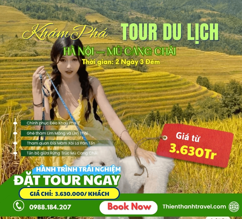 Tour Hà Nội - Mù Cang Chải - Tà Xùa | Săn Mùa Vàng Tây Bắc